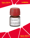 Sigma-Aldrich 158127 Paraformaldehyde 95% CAS Numarası : 30525-89-4 | 5 Gram