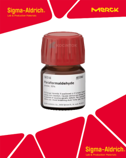 Sigma-Aldrich 158127 Paraformaldehyde 95% CAS Numarası : 30525-89-4 | 5 Gram