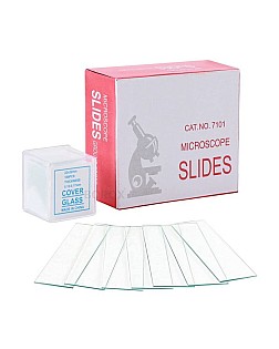 Lam 50'lik kutu düz kesim 26*76mm