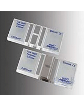 THOMA LAMI THOMA LAMI