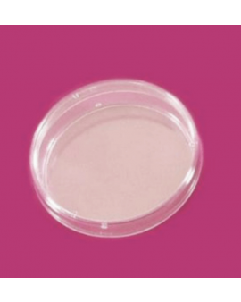 Petri Kutusu, Plastik PS 35 mm- 10 Ad.